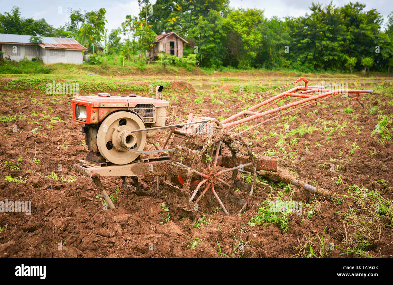 Walking Tractor on rice field for work plow Plows machine small