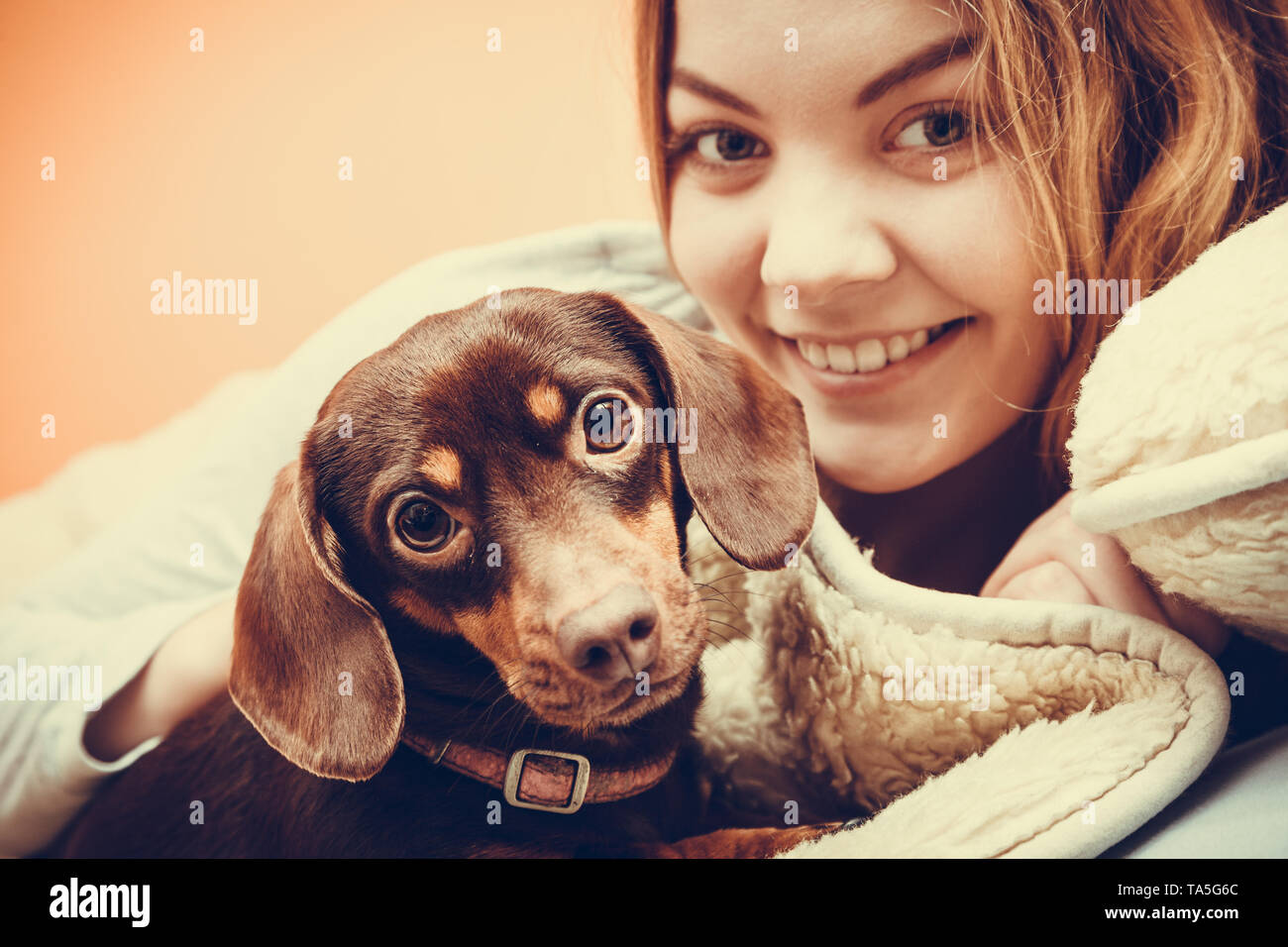 Why Does My Dog Wake Up When I Wake Up