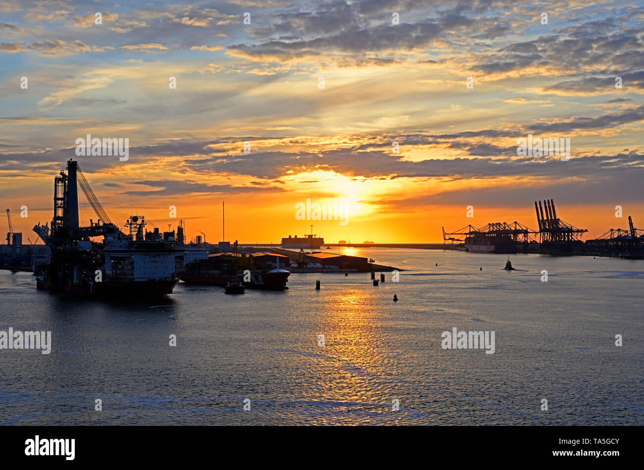 port of rotterdam, netherlands - 2019.05.10:  sunset at maasvlakte terminals close to the north sea coast Stock Photo