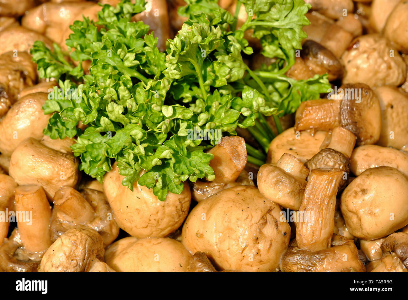 Grilled mushrooms champignons in a bowl close up Stock Photo