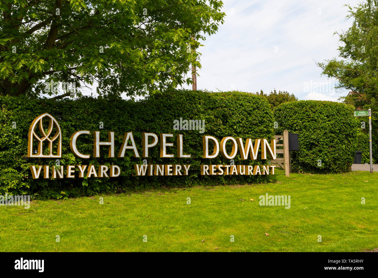 Chapel down vineyard winery restaurant, small hythe rd, tenterden, kent, uk Stock Photo