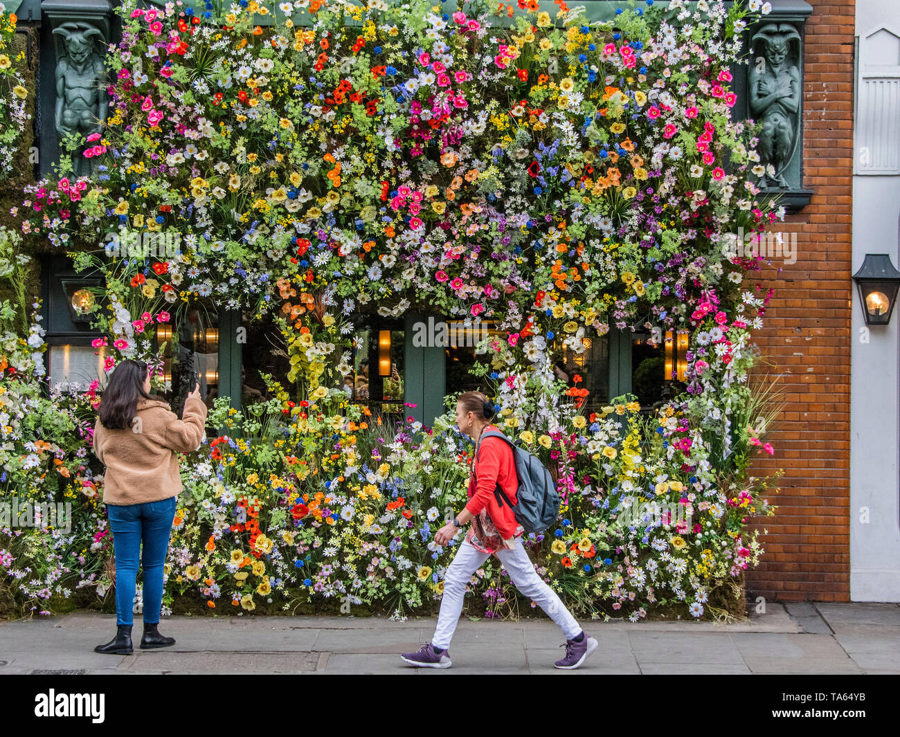 London, UK. 22nd May 2019. People pass by but many are drawn to stop an take pictures or selfies at The Ivy Chelsea Garden Branch - Chelsea in Bloom, part of the finge activities to the Chelsea Flower Show. Credit: Guy Bell/Alamy Live News Stock Photo