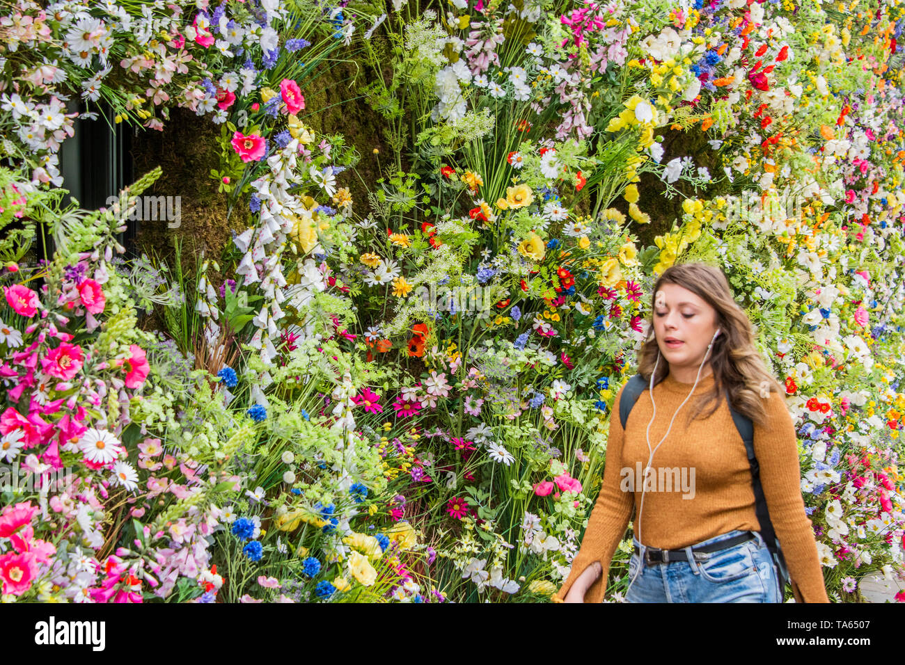 London, UK. 22nd May 2019. People pass by but many are drawn to stop an take pictures or selfies at The Ivy Chelsea Garden Branch - Chelsea in Bloom, part of the finge activities to the Chelsea Flower Show. Credit: Guy Bell/Alamy Live News Stock Photo