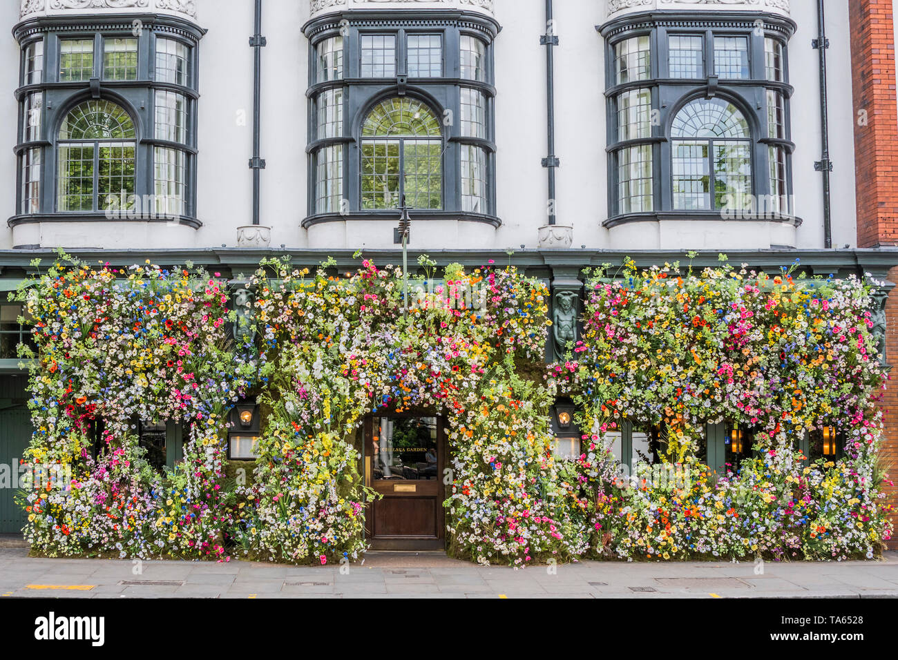 London, UK. 22nd May 2019. People pass by but many are drawn to stop an take pictures or selfies at The Ivy Chelsea Garden Branch - Chelsea in Bloom, part of the finge activities to the Chelsea Flower Show. Credit: Guy Bell/Alamy Live News Stock Photo
