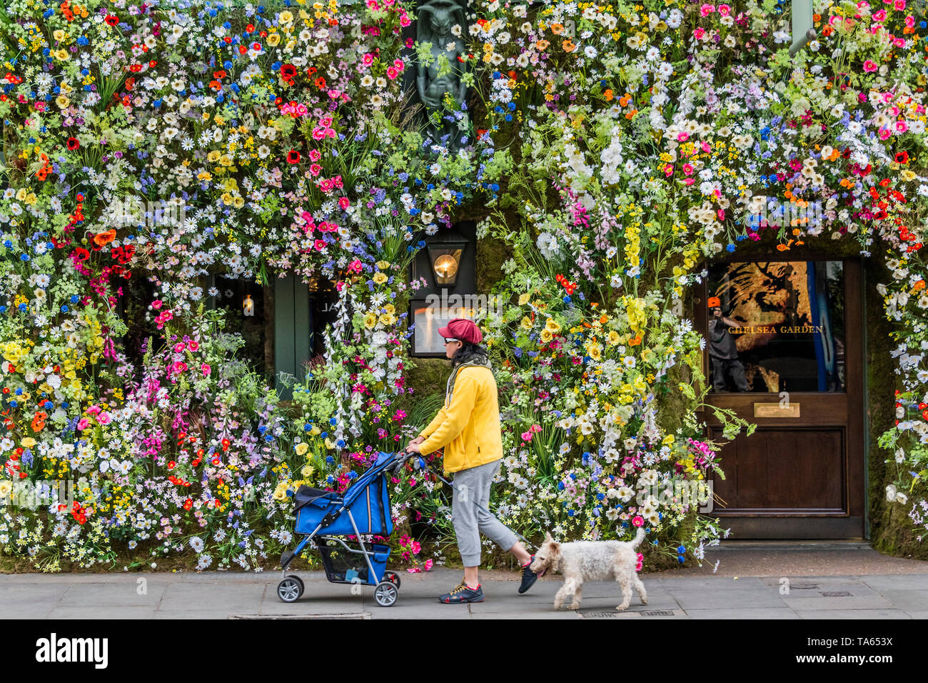 London, UK. 22nd May 2019. People pass by but many are drawn to stop an take pictures or selfies at The Ivy Chelsea Garden Branch - Chelsea in Bloom, part of the finge activities to the Chelsea Flower Show. Credit: Guy Bell/Alamy Live News Stock Photo