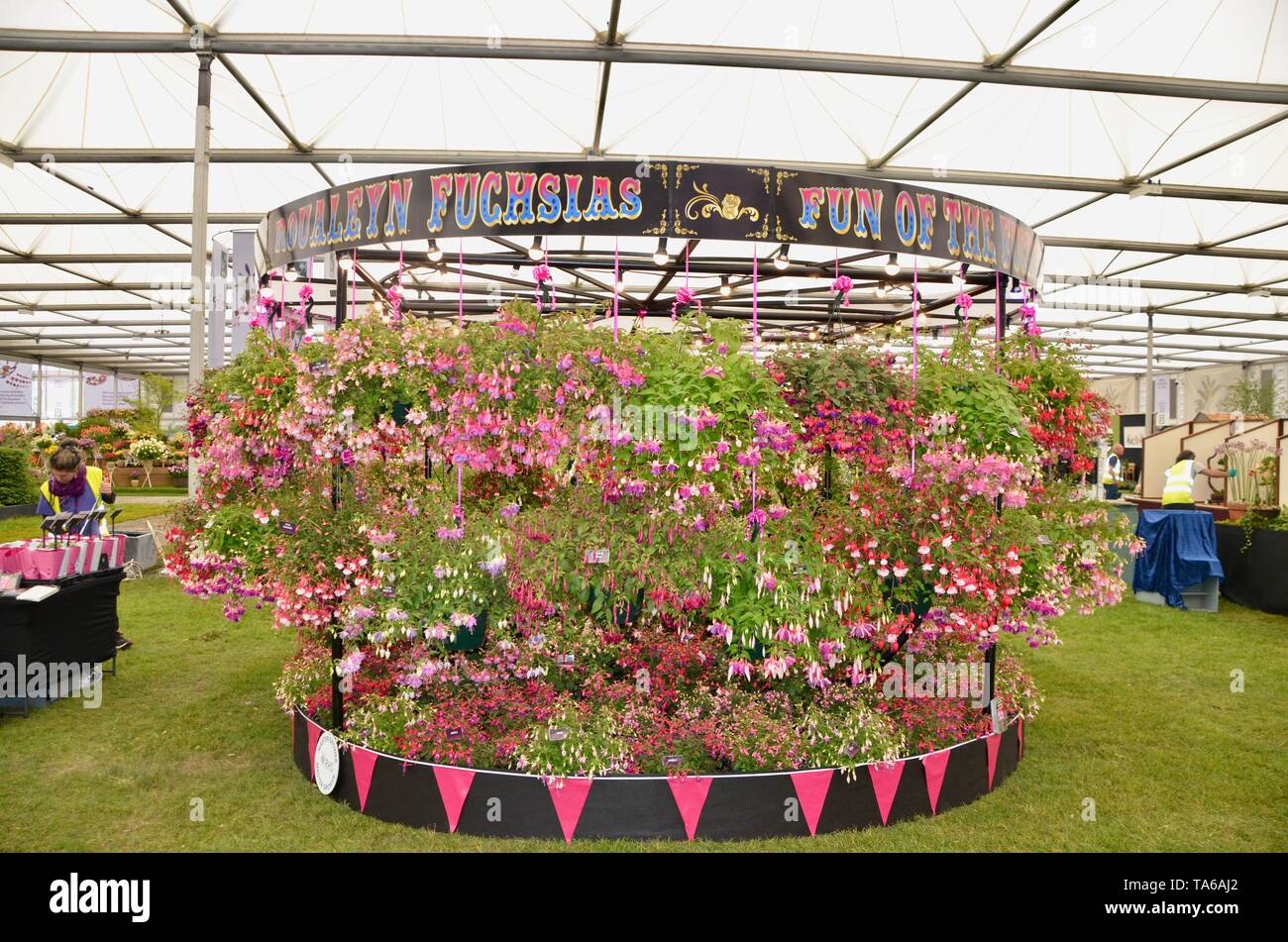 scenes from the 2019 rhs chelsea flower show in london england Stock Photo