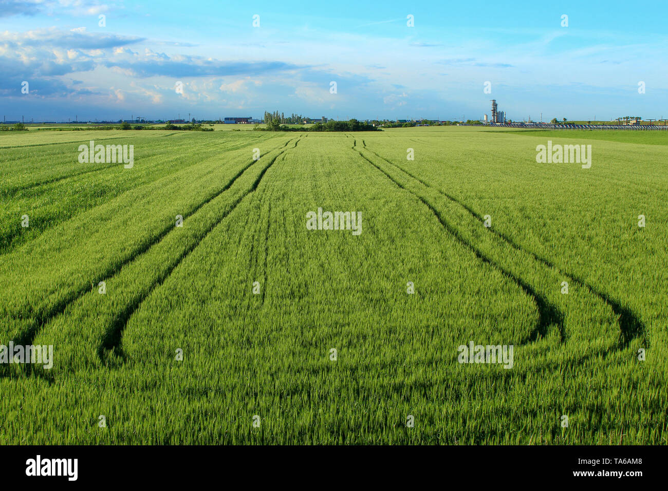 Solar panel farm tracks hi-res stock photography and images - Alamy