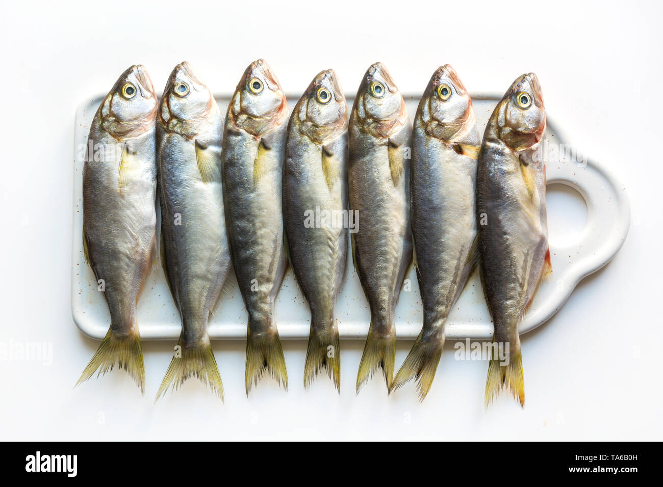 Black sea fresh bluefish on white background. Fish pattern. View from above. Isolated. Stock Photo