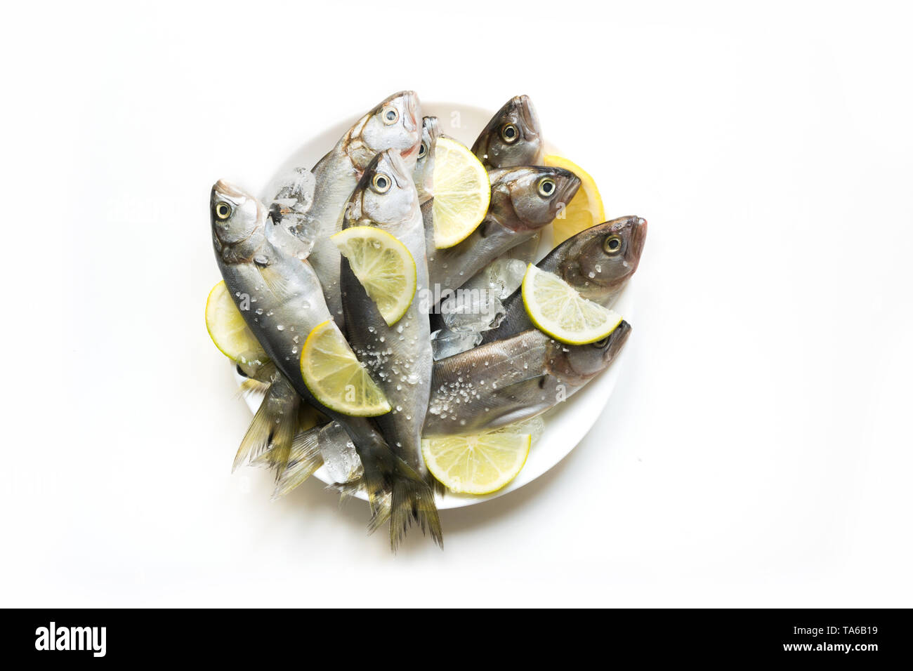 Black sea fresh bluefish on white background. Fish pattern with space for text. View from above. Isolated. Stock Photo