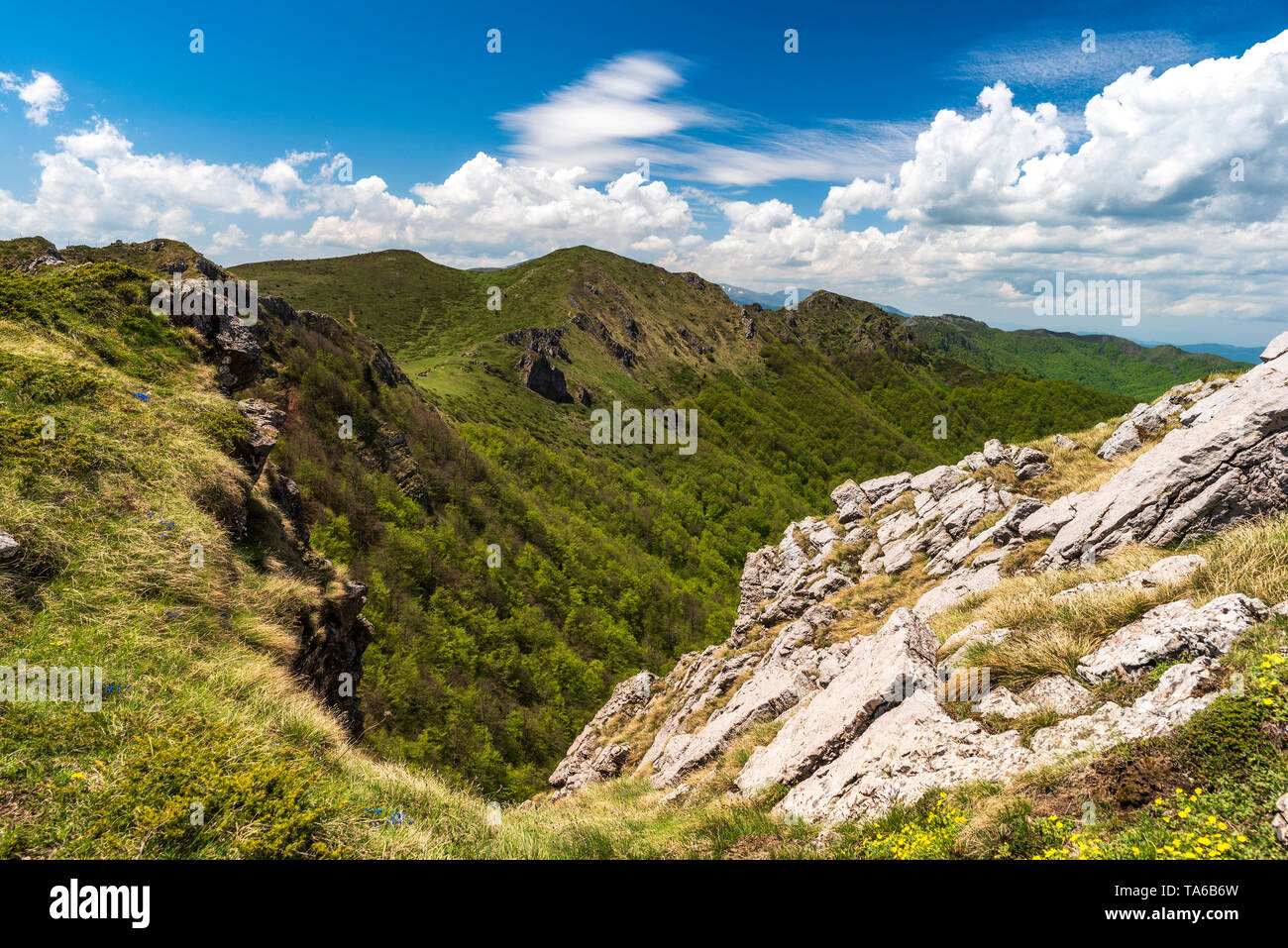 Spring in Central Balkan national park in Bulgaria, Kozya stena (goat wall) reserve Stock Photo
