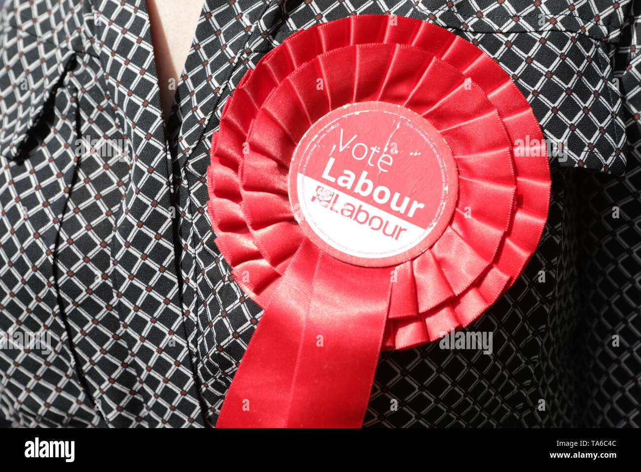 Members of the Labour Party campaigning during the MEP Elections, Far Headingly, Leeds, 2019. Stock Photo