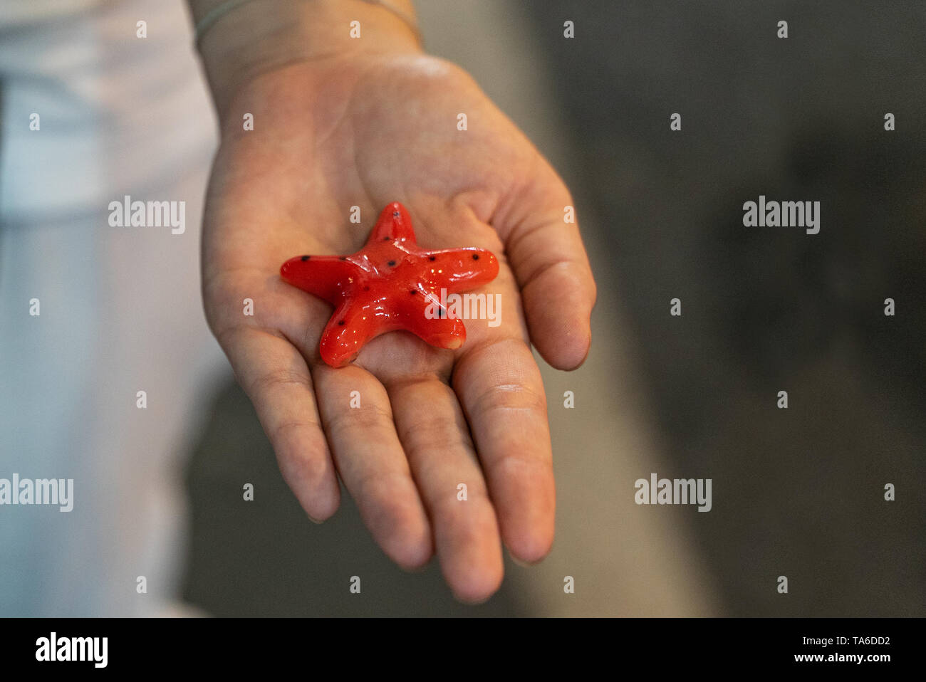Luk Chup, a Thai mung bean street food dessert on Phuket Island in Thailand, Asia Stock Photo