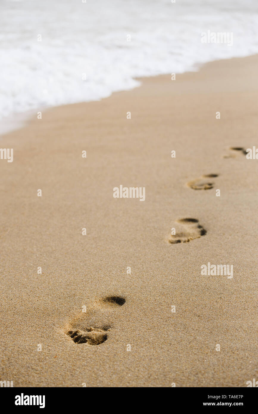Sandy beach resort. Background for summer holiday design. Footprints on the shore Stock Photo