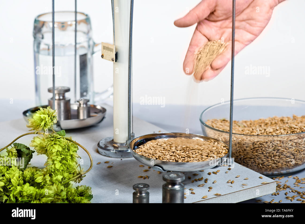 Scales with raw material for beer production Stock Photo Alamy