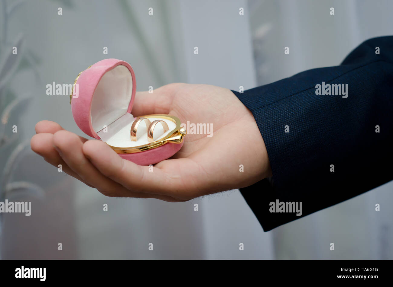 Pink velvet box with wedding rings in the hand of the groom on the wedding day Stock Photo