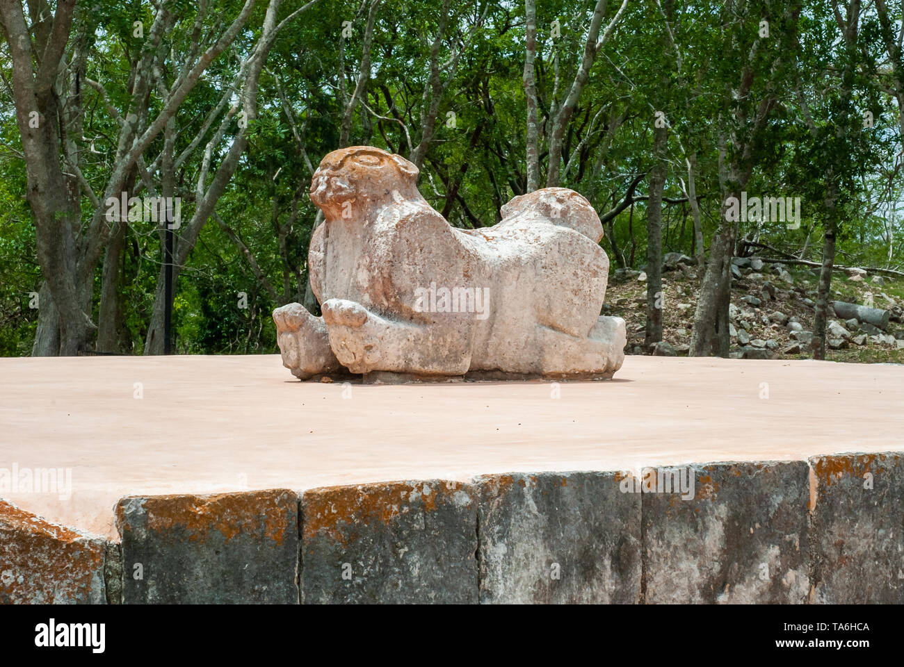 Ancient Mayan statue, which symbolizes a jaguar with two heads, in the archaeological area of Uxmal, in the Mexican Yucatan peninsula Stock Photo