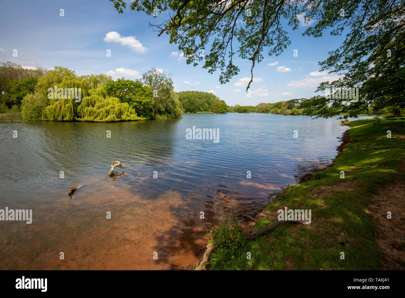 Pirton Lake in Worcestershire on the Earl of Coventrys Croome Estate