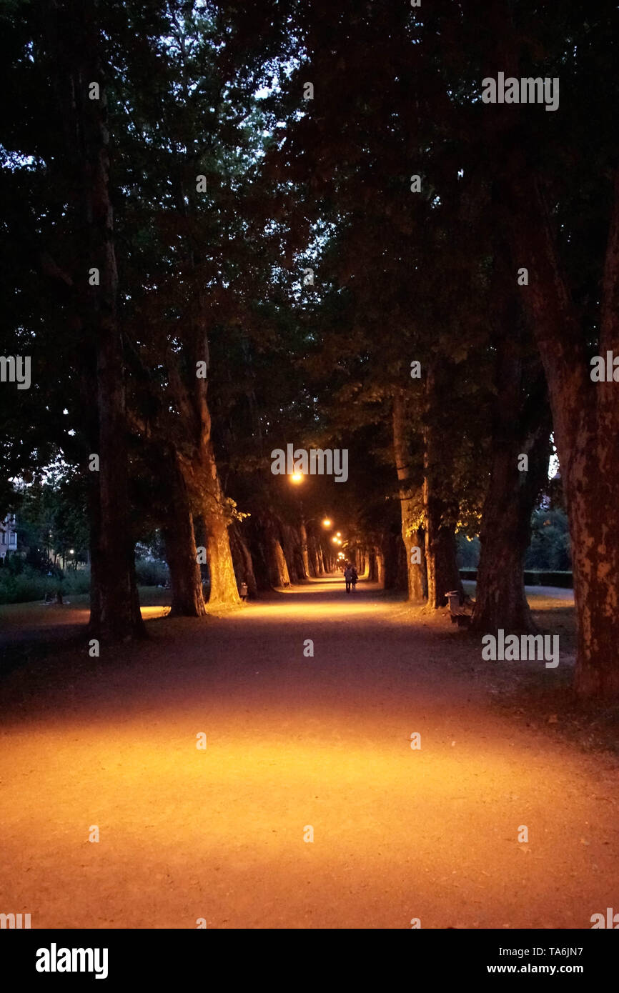 A portrait of the atmosphere from Platanenallee at night. There is no crowd in the park with these big trees. Light orange lights adorn the night Stock Photo