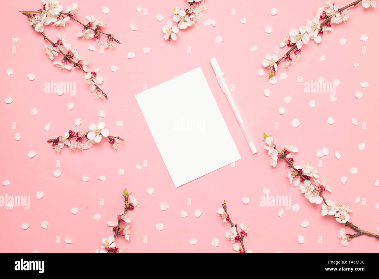 Invitation mockup of business paper A5 Flyer on a pink background with sprigs of spring sakura flowers. Empty space. Styled stock photo, web banner. F Stock Photo