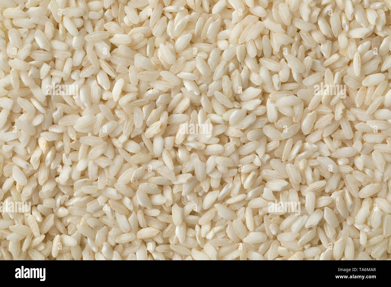 Italian Carnaroli risotto rice full frame Stock Photo Alamy