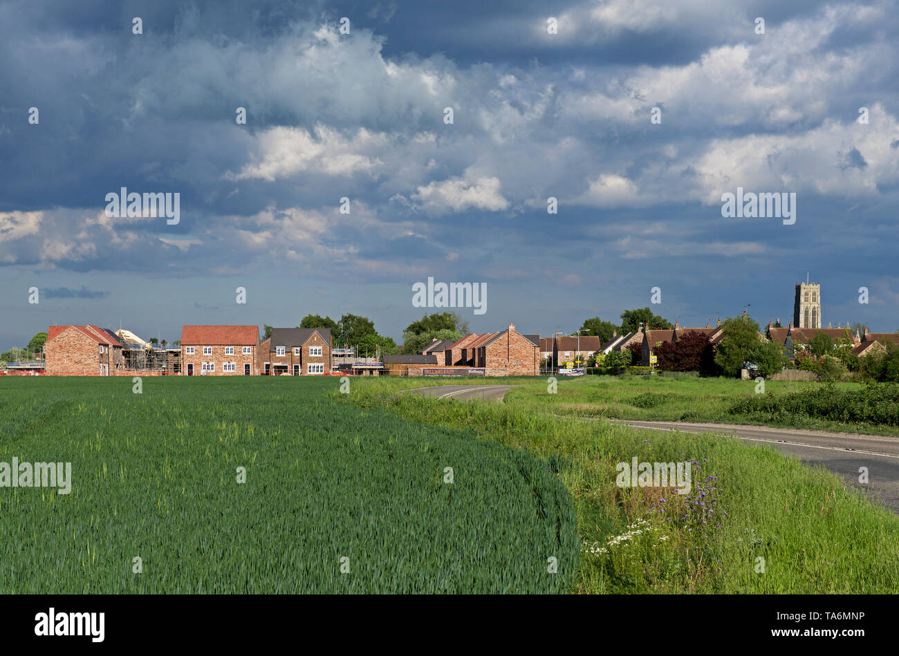 New houses being built by Bellway Homes, on the edge of Howden, East Yorkshire, England UK Stock