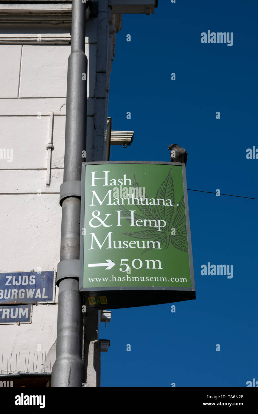 Green Billboard Hash Marihuana & Hemp Museum At Amsterdam The Netherlands 2019 Stock Photo