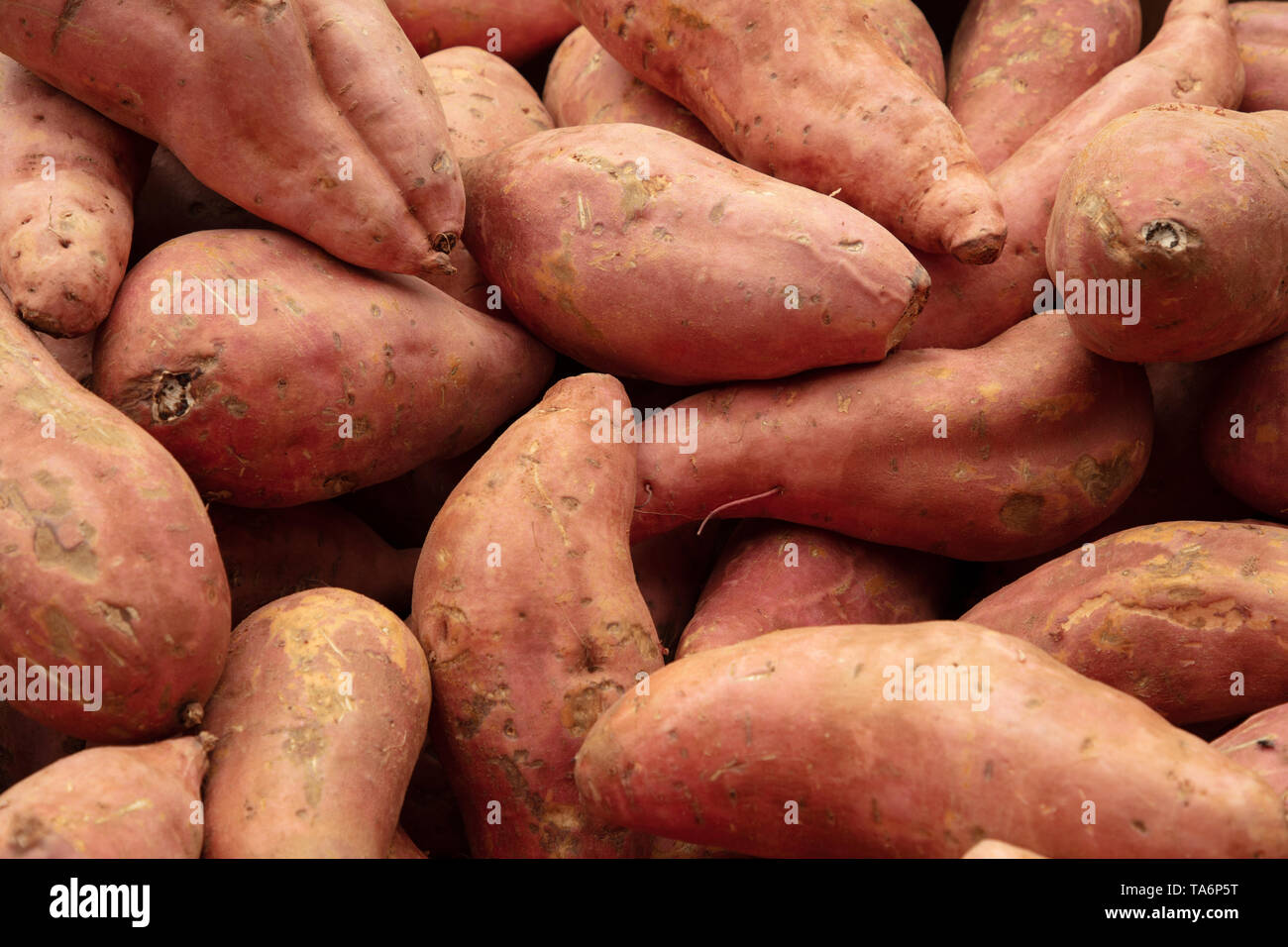 Compex carbohydrates hires stock photography and images Alamy