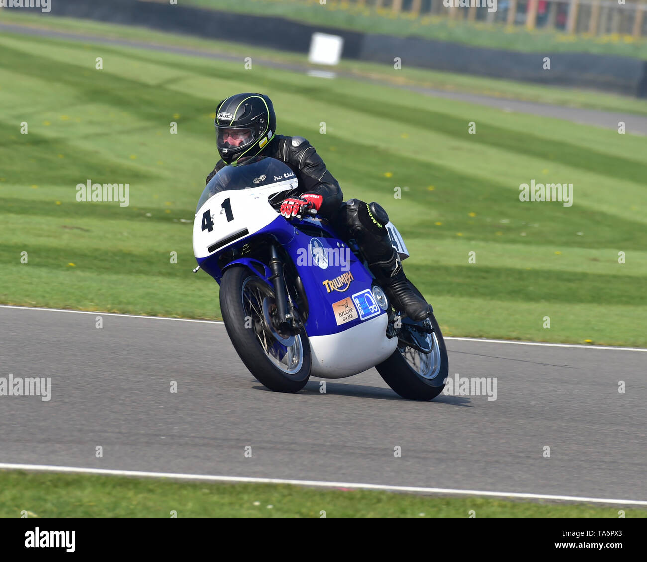 rob north triumph