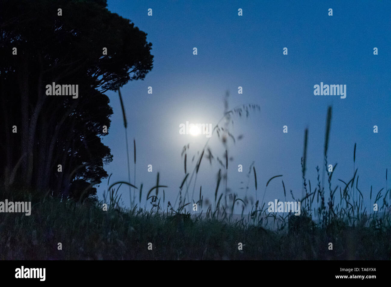 This capture of the landscape was taken under the moon light and you can  see the cold tone color of blue that make a beautiful mood to the picture  Stock Photo -, image size:1300x956