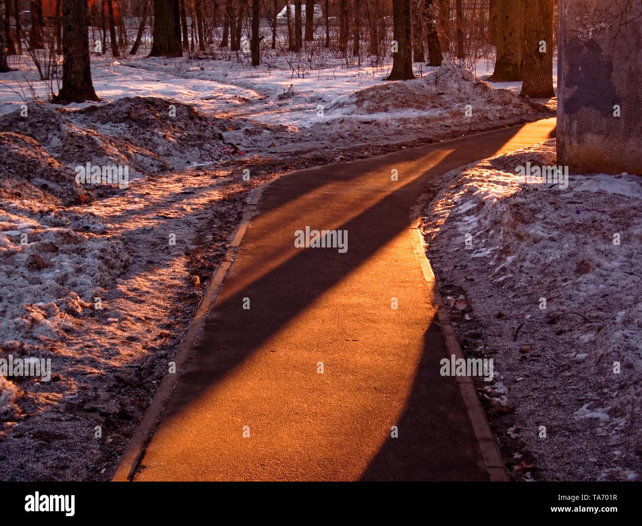 asphalt path in the Park in winter, Moscow Stock Photo - Alamy