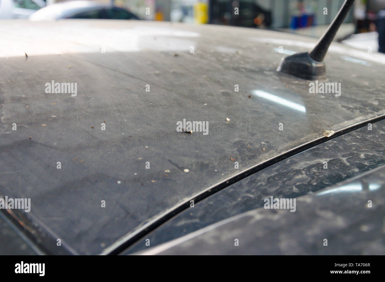 Dark dirt hires stock photography and images Alamy