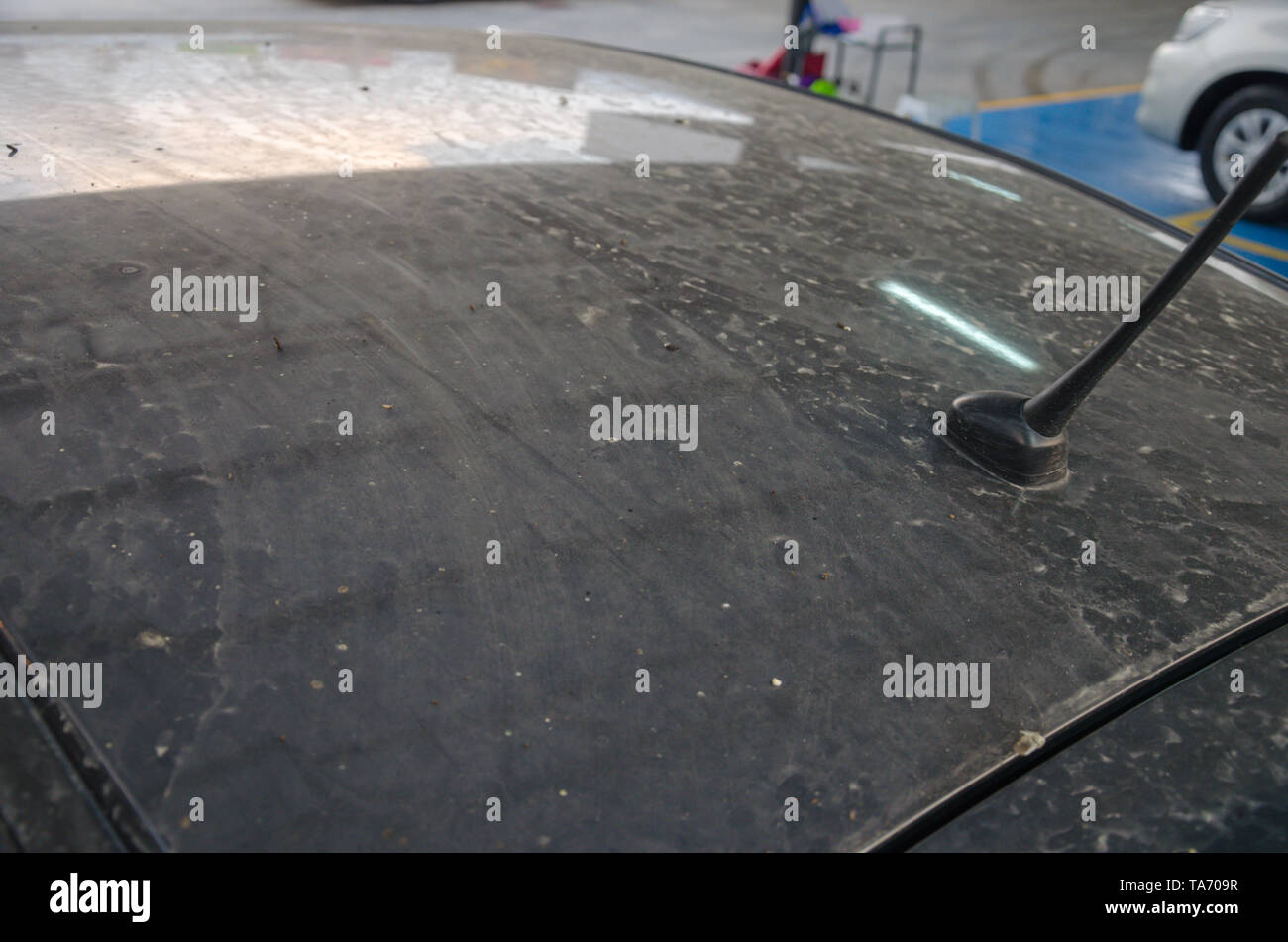 Stains on the black car roof Stock Photo Alamy