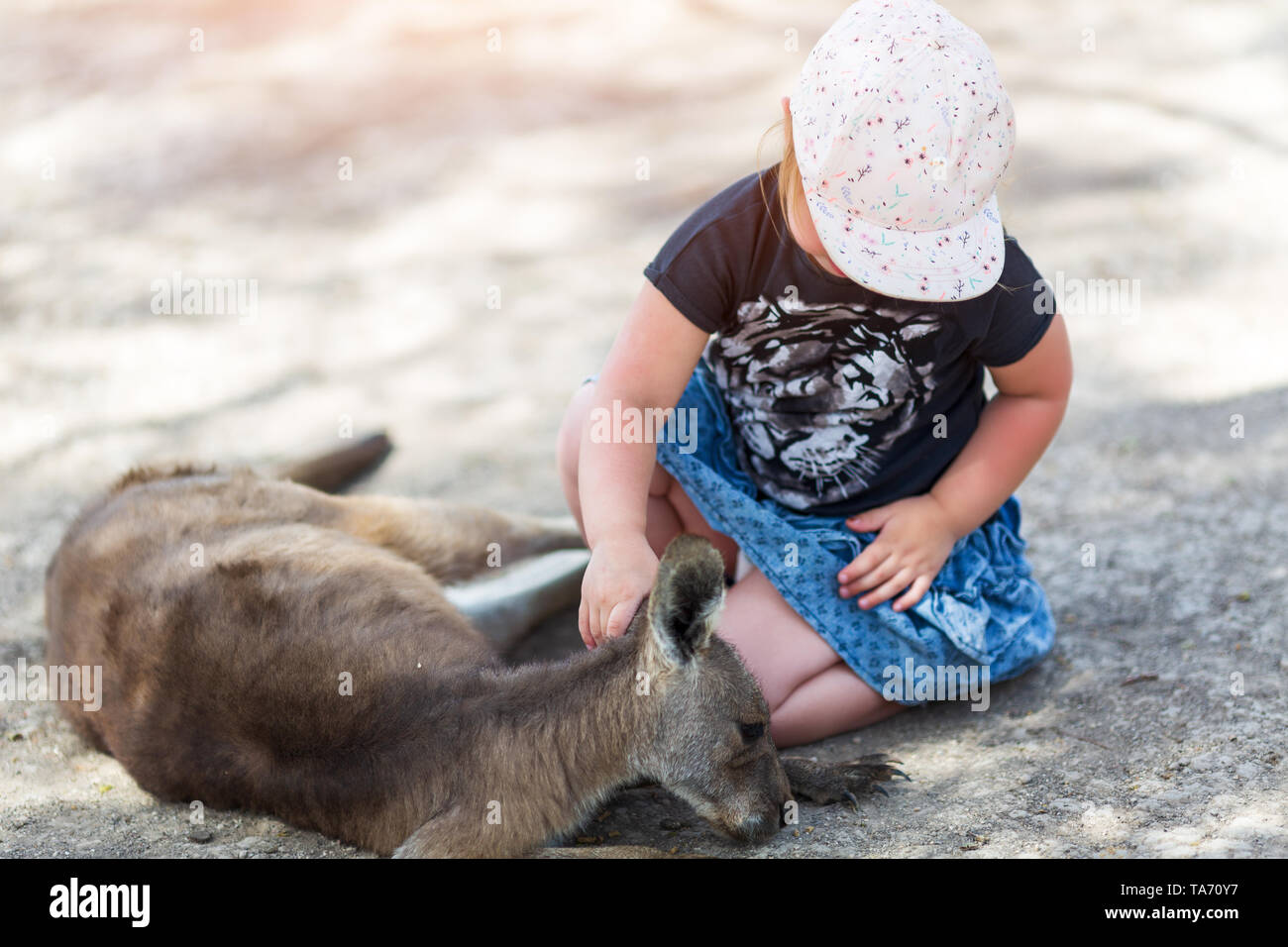 Australia kangaroo girl hires stock photography and images Alamy