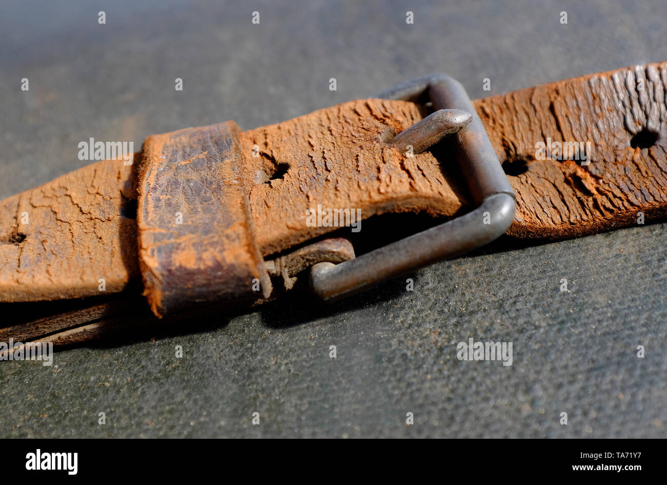 old weathered leather suitcase strap and metal buckle Stock Photo