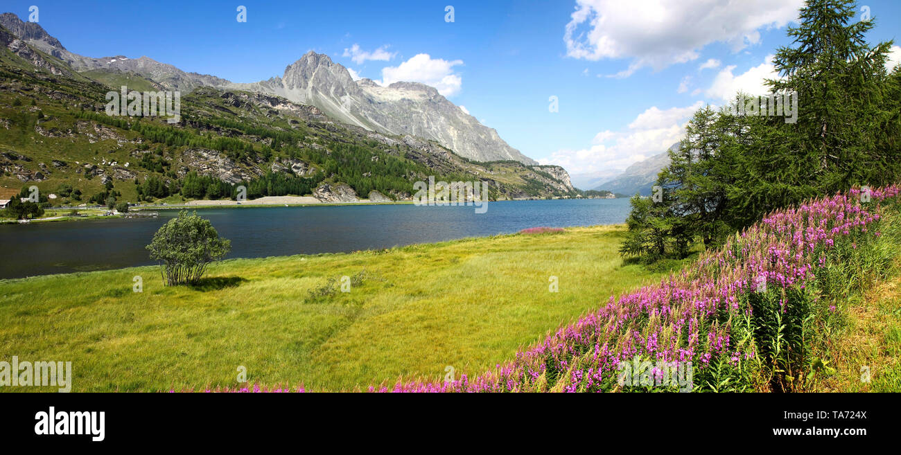 Landscape around Sils Lake on upper Engadine Valley (Switzerland - Europe). Lej da Segl; 1799 m. (Sils Lake) - Engadine Valley  - Switzerland - Europe Stock Photo
