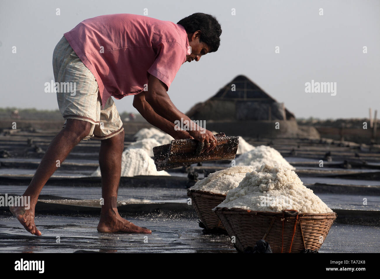 Salt Industry an industry for producing salt from saline water of the