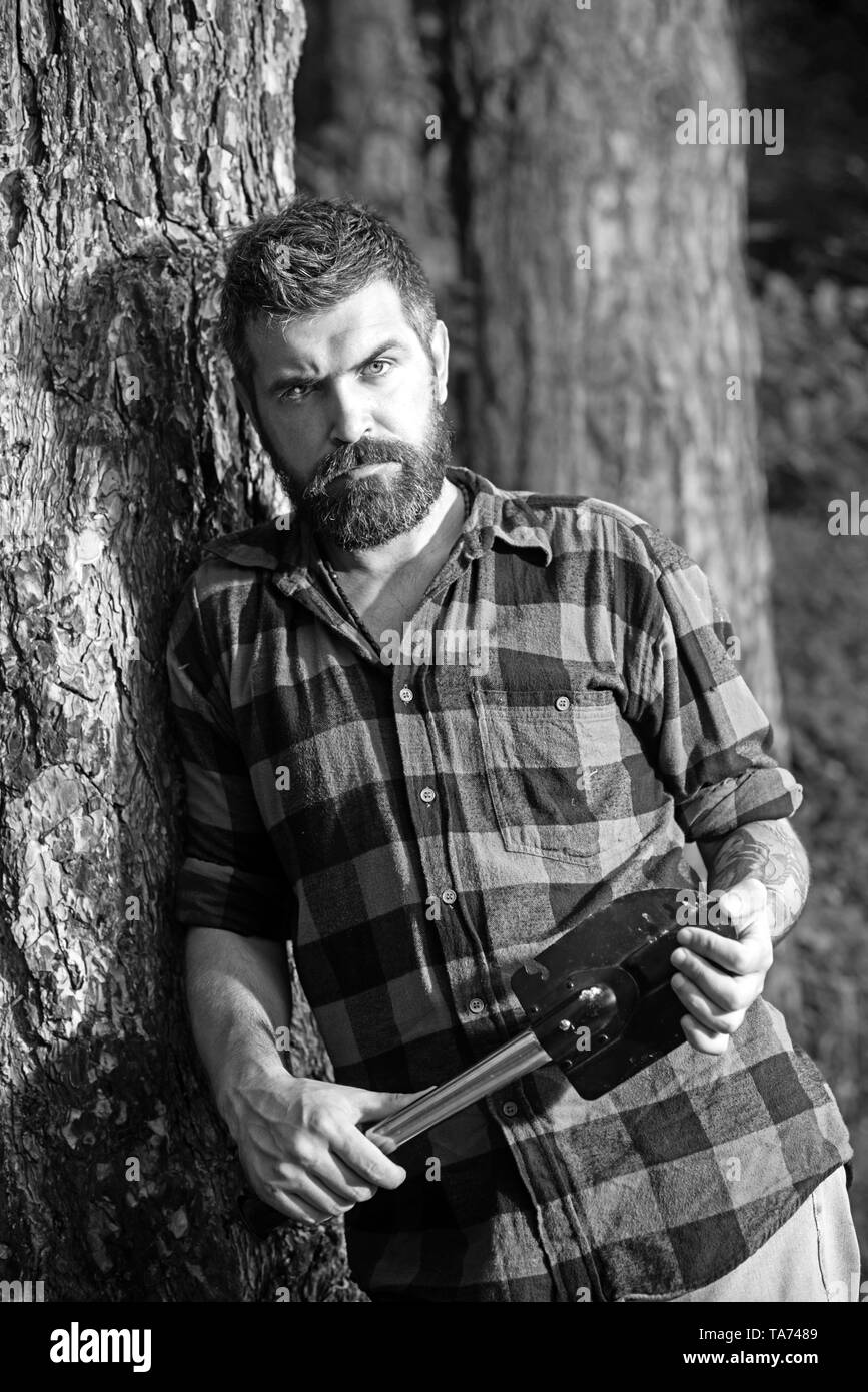 Brutal lumberjack holding small spade and leaning on old tree. Hipster with stylish beard wandering in wilderness. Young concentrated scientist Stock Photo