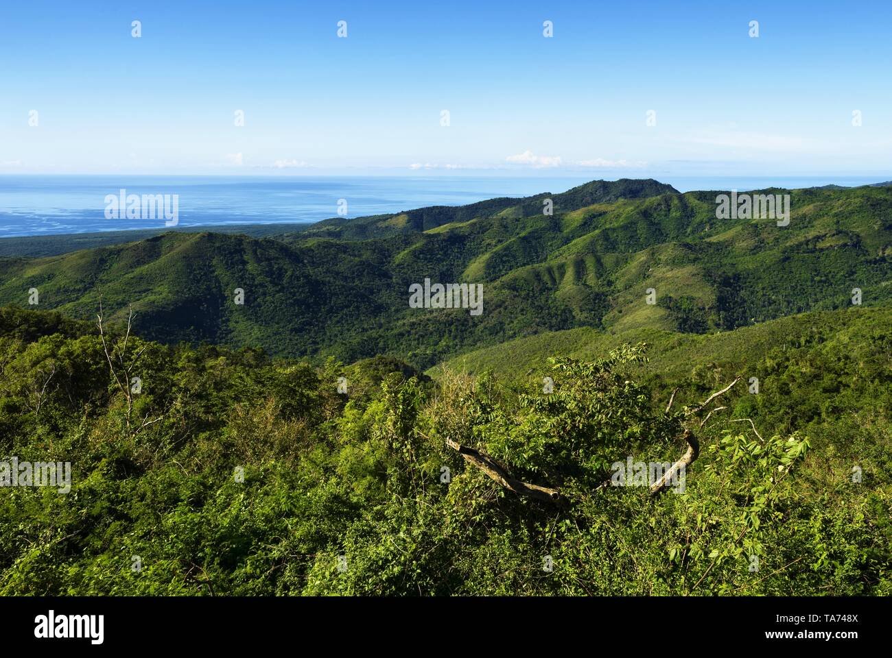 Green massiv of Topes de Collantes in southern Cuba Stock Photo Alamy