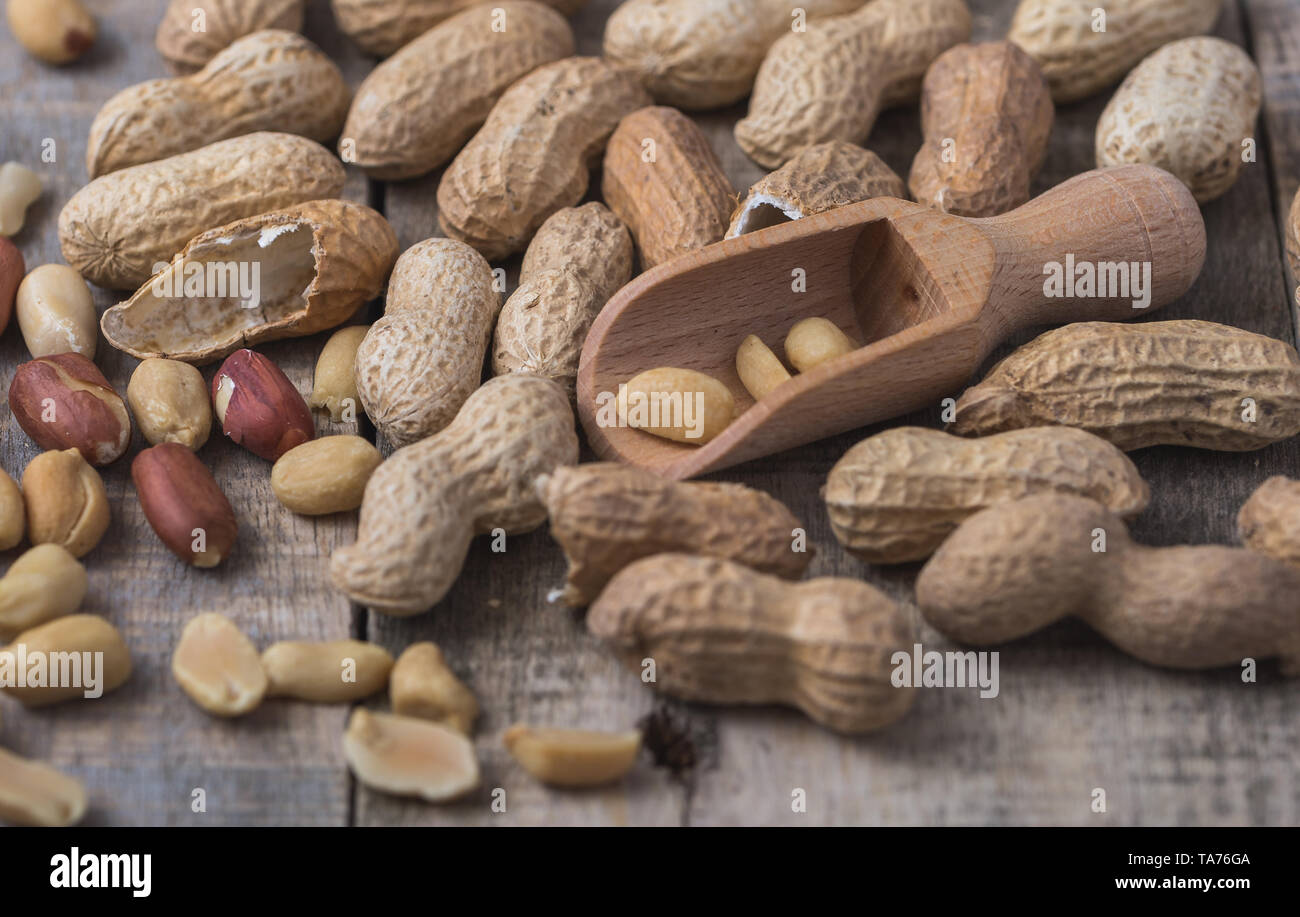 Healthy unhealthy plant hires stock photography and images Alamy