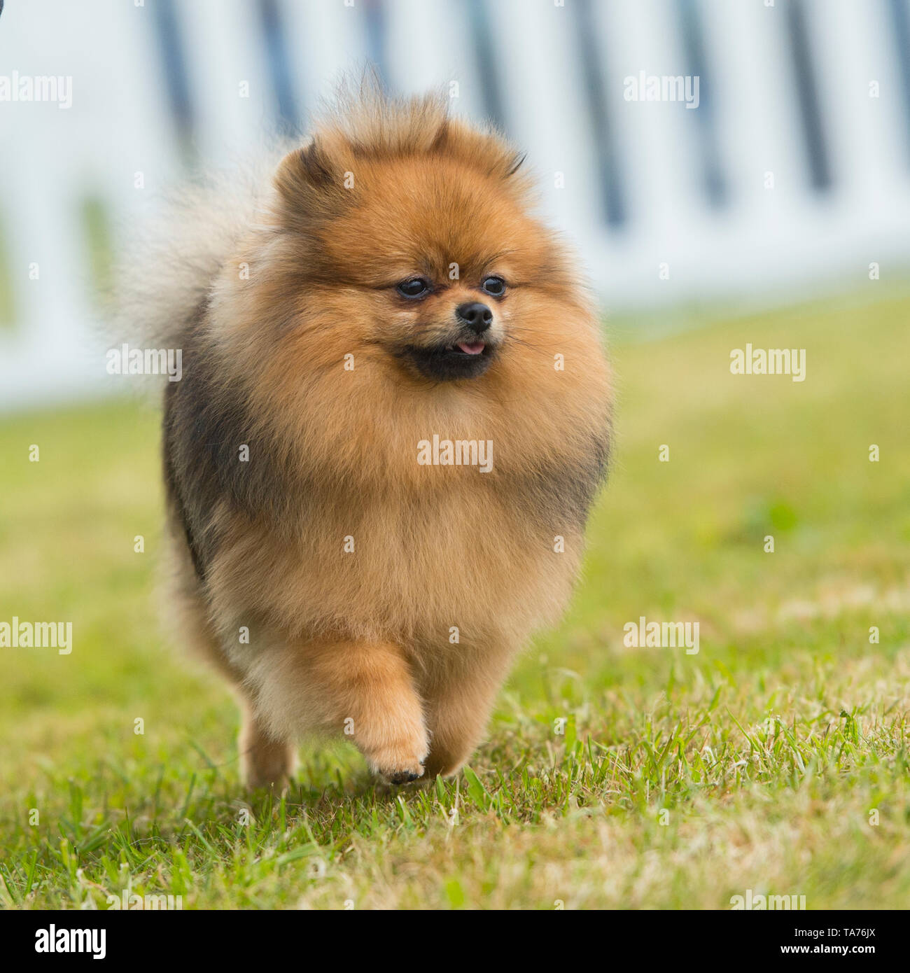 My Image 33