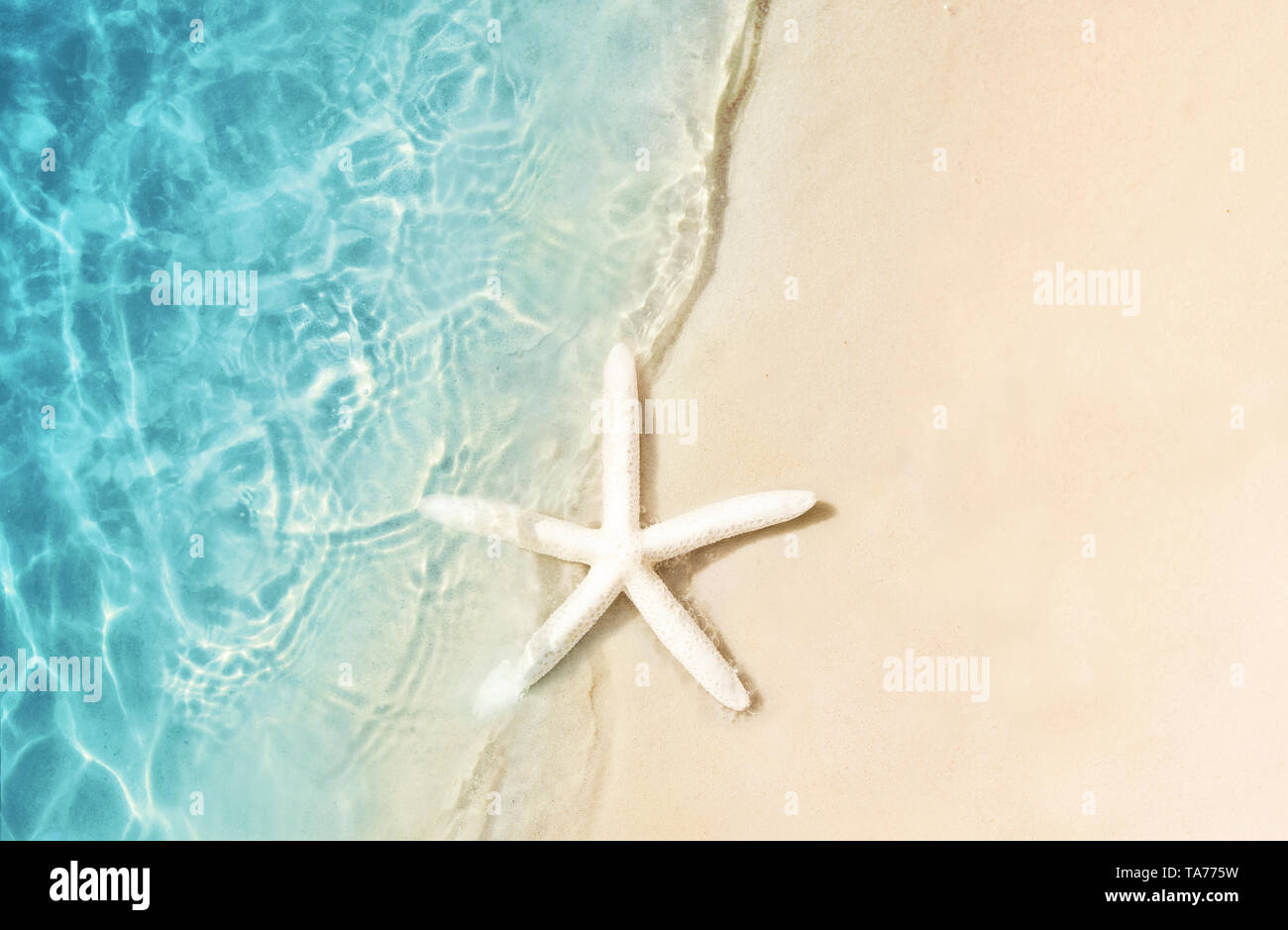 Starfish on the summer beach. Summer background. Tropical sand beach. Stock Photo