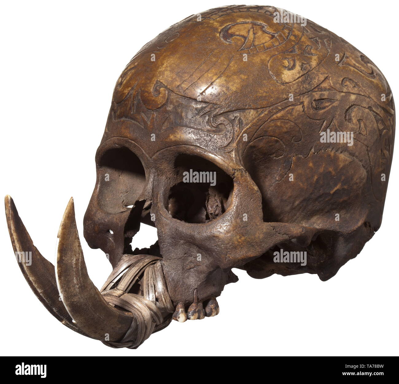 A Dayak trophy skull, Borneo Elaborately carved skull, the entire skullcap profusely decorated with ornaments, teeth of the upper jaw partially preserved and the front teeth replaced by boar tusks. Dark brown patina, eye sockets and temporal bones with signs of age, forehead slightly polished by use. Height 16 cm. historic, historical, Indonesian archipelago, Indonesia, Far East, Asia, Asian, ethnology, ethnicity, ethnic, tribal, object, objects, stills, clipping, clippings, cut out, cut-out, cut-outs, Additional-Rights-Clearance-Info-Not-Available Stock Photo