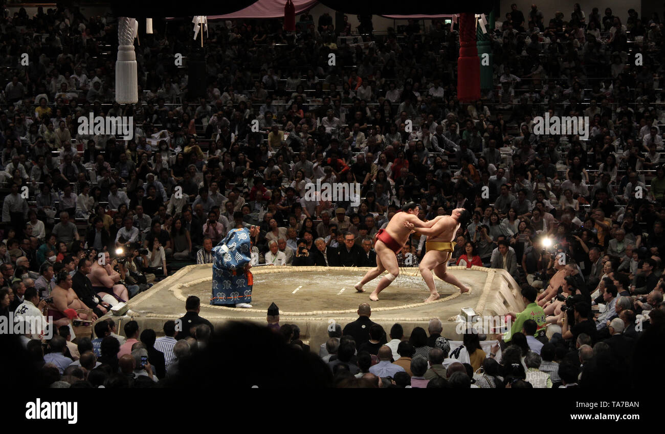 Sumo wrestlers in action, Tokyo, Japan Stock Photo