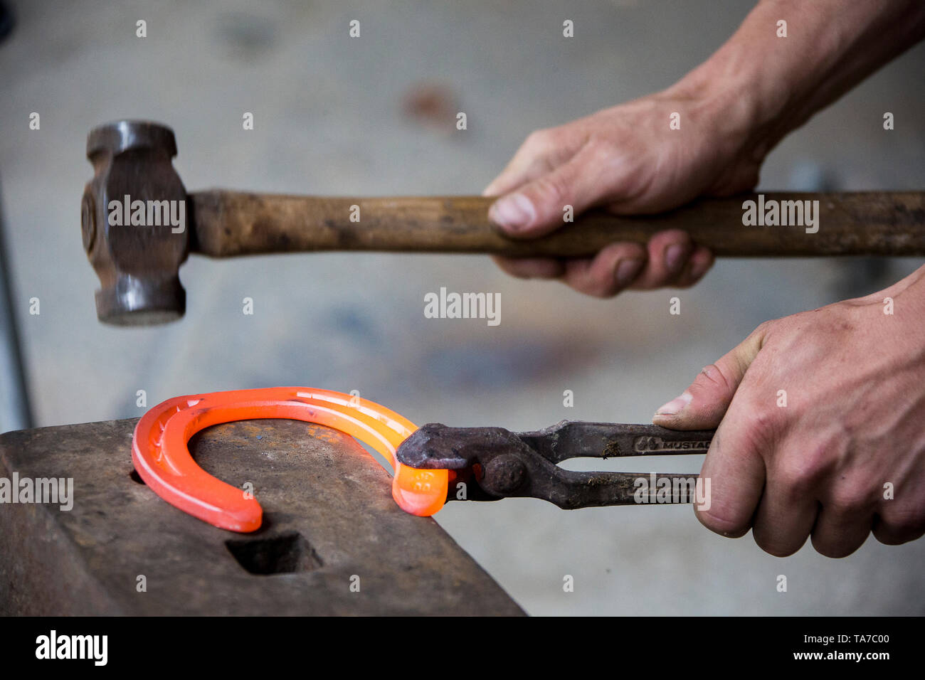 Farrier bending a red-hot horseshoe in the desired shape. Austria Stock Photo