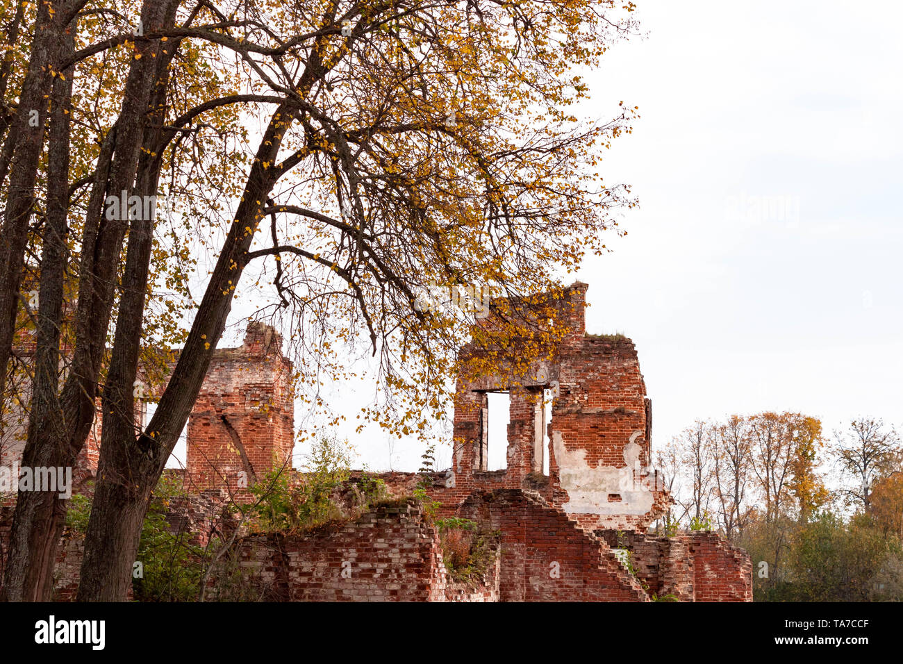 Beautiful view of old ruined historic red brick walls building in ...