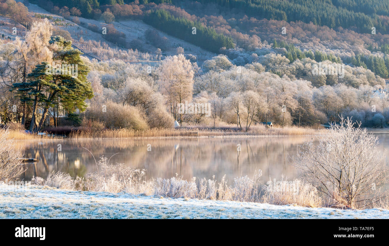 Kin Loch Ard Hoar frost hi-res stock photography and images - Alamy