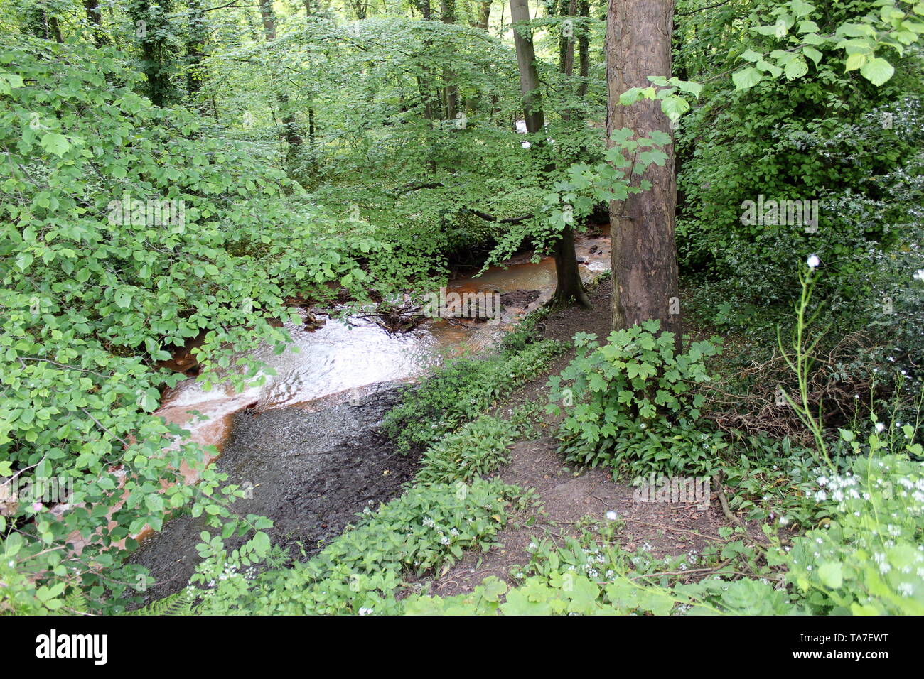 Hawarden, water mill originally constructed in 1767 by millwright