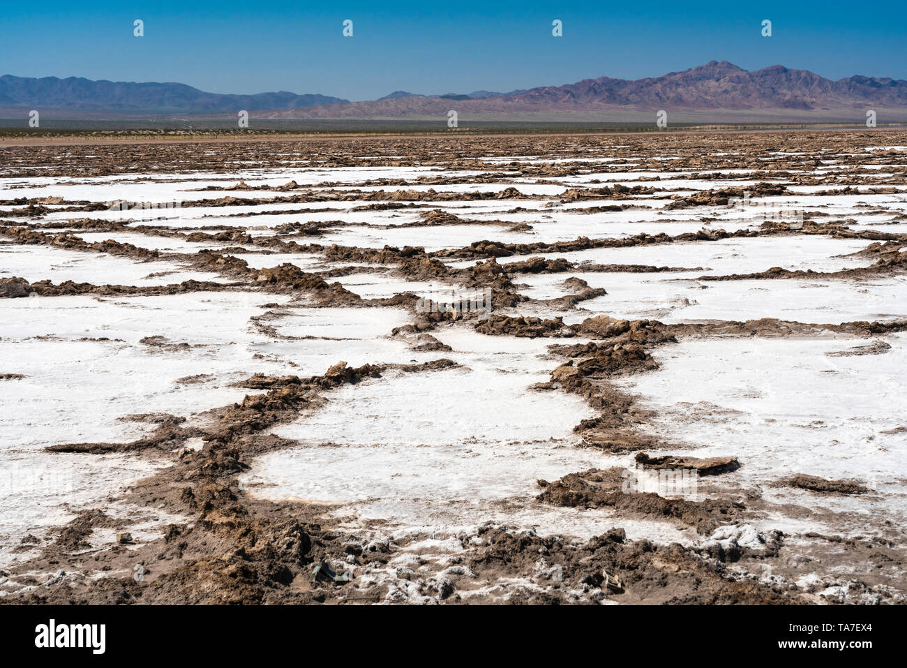 The Bristol Dry Lake salt accumulation on Route 66, near Amboy