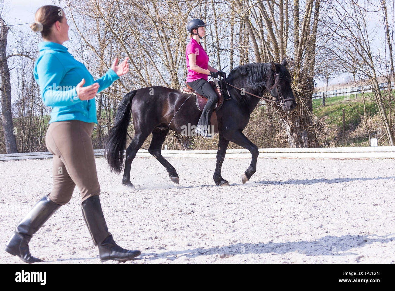 Pure Spanish Horse, Andalusian. Black stallion with rider on a riding place, with trainer giving hints. Germany Stock Photo