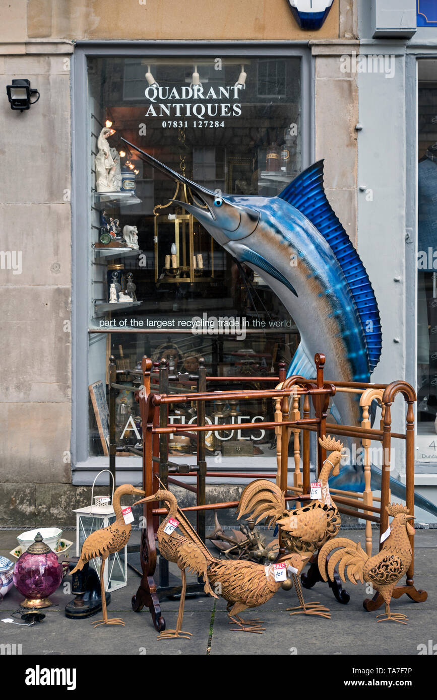 Various birds hires stock photography and images Alamy